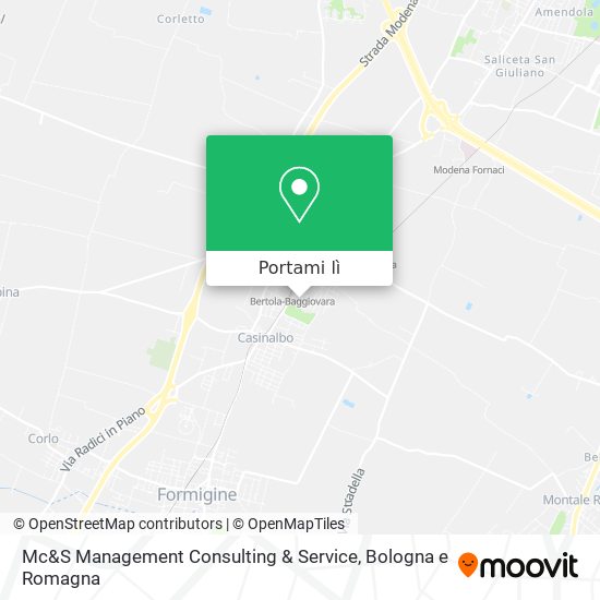 Mappa Mc&S Management Consulting & Service