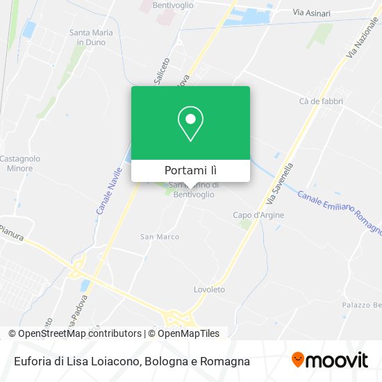 Mappa Euforia di Lisa Loiacono