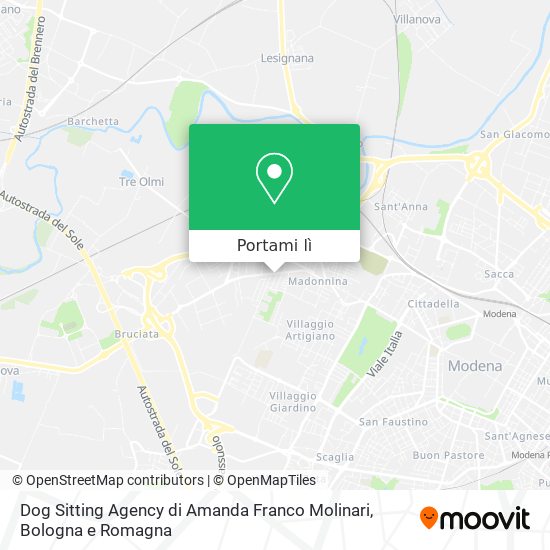 Mappa Dog Sitting Agency di Amanda Franco Molinari