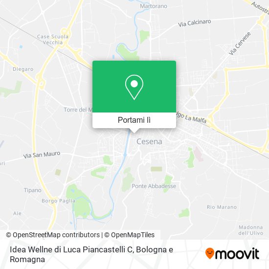 Mappa Idea Wellne di Luca Piancastelli C