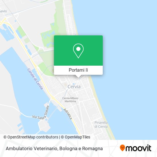 Mappa Ambulatorio Veterinario