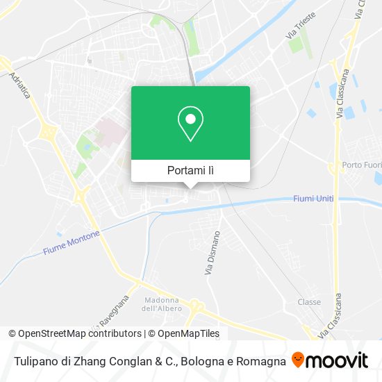 Mappa Tulipano di Zhang Conglan & C.