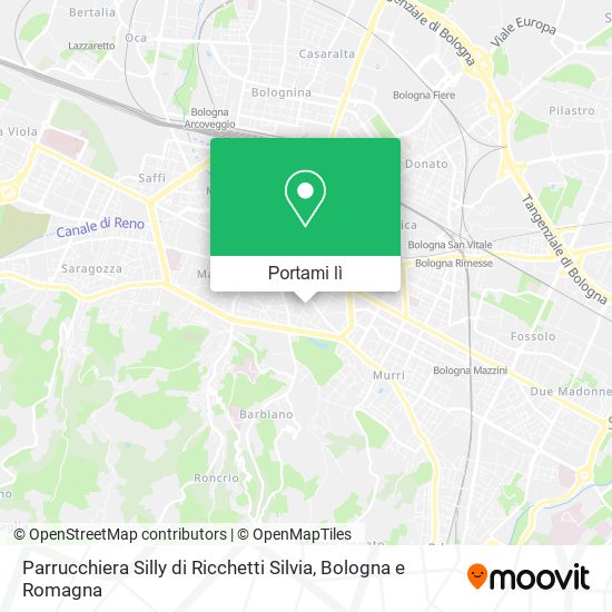 Mappa Parrucchiera Silly di Ricchetti Silvia