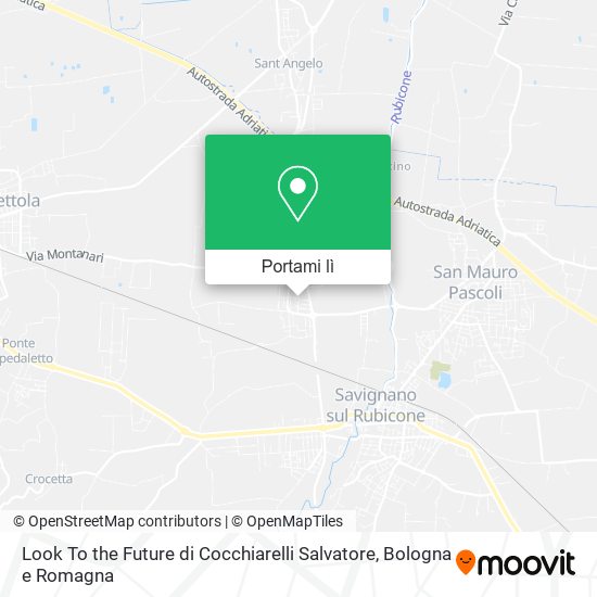 Mappa Look To the Future di Cocchiarelli Salvatore