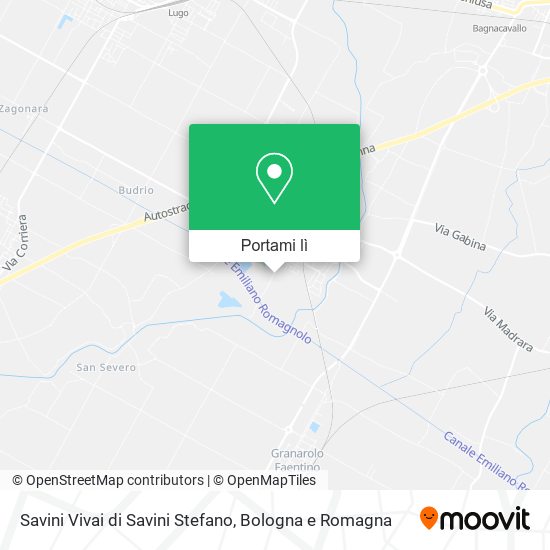 Mappa Savini Vivai di Savini Stefano