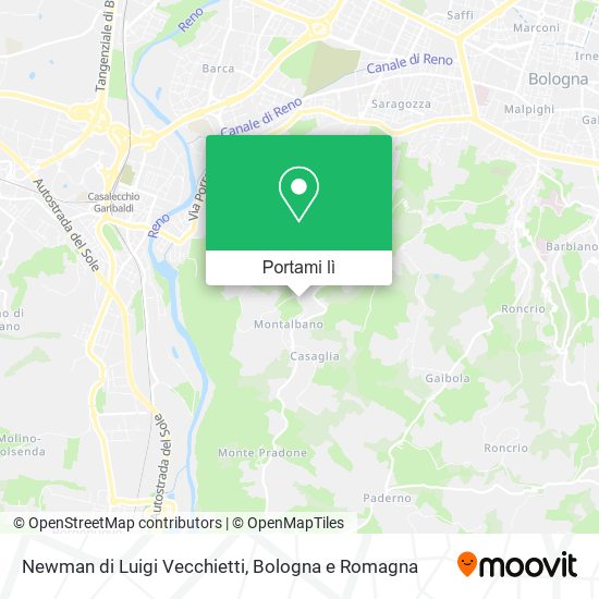 Mappa Newman di Luigi Vecchietti