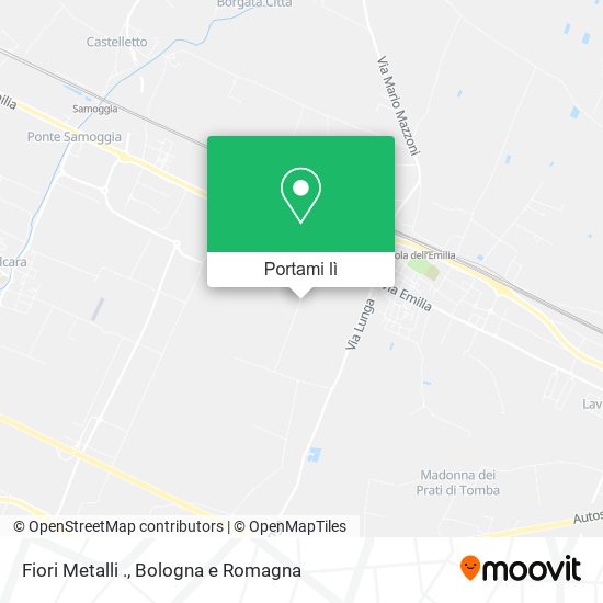 Mappa Fiori Metalli .