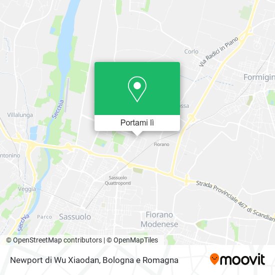 Mappa Newport di Wu Xiaodan
