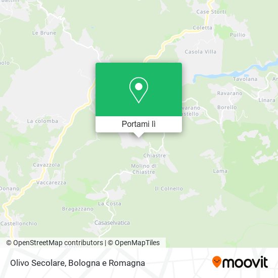 Mappa Olivo Secolare