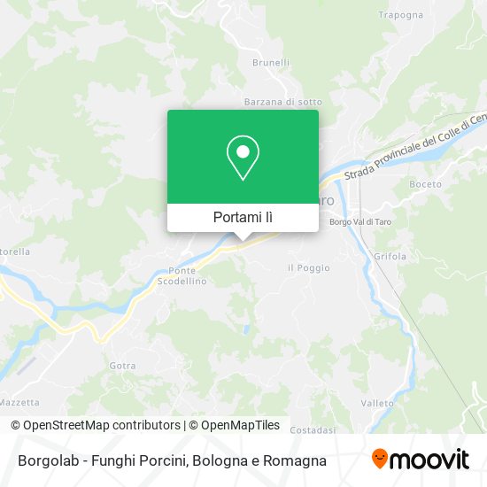 Mappa Borgolab - Funghi Porcini