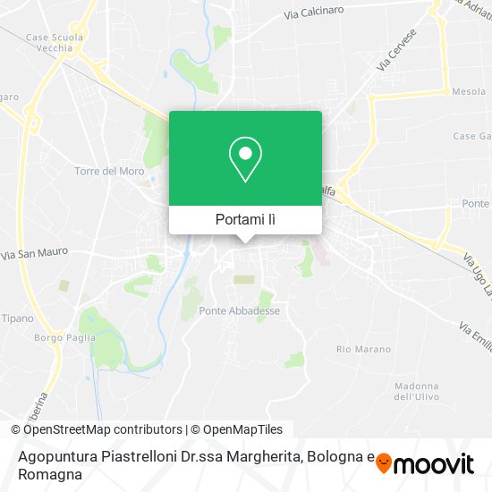 Mappa Agopuntura Piastrelloni Dr.ssa Margherita