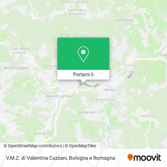 Mappa V.M.Z. di Valentina Cuzzani