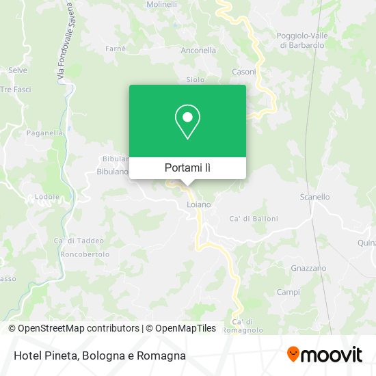 Mappa Hotel Pineta