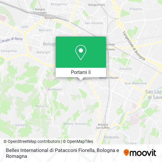 Mappa Bellex International di Patacconi Fiorella