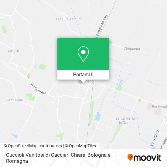 Mappa Cuccioli Vanitosi di Cacciari Chiara