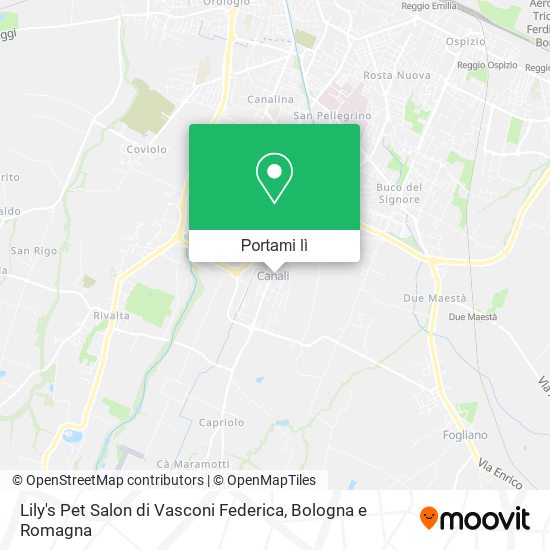 Mappa Lily's Pet Salon di Vasconi Federica