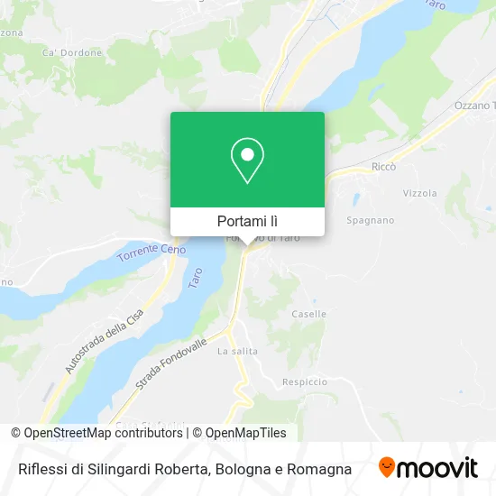Mappa Riflessi di Silingardi Roberta