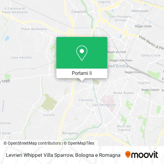 Mappa Levrieri Whippet Villa Sparrow