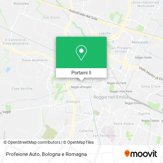 Mappa Profeione Auto