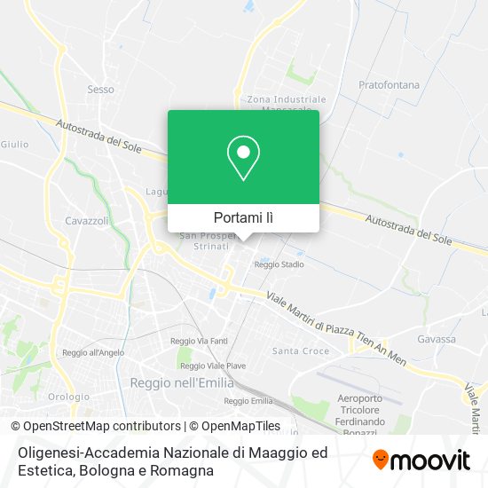 Mappa Oligenesi-Accademia Nazionale di Maaggio ed Estetica