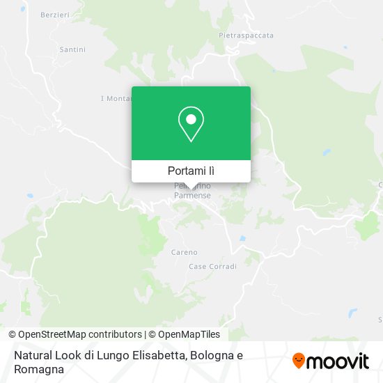 Mappa Natural Look di Lungo Elisabetta