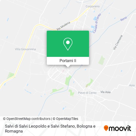 Mappa Salvi di Salvi Leopoldo e Salvi Stefano