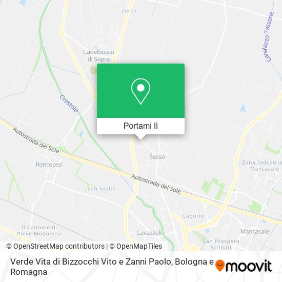 Mappa Verde Vita di Bizzocchi Vito e Zanni Paolo