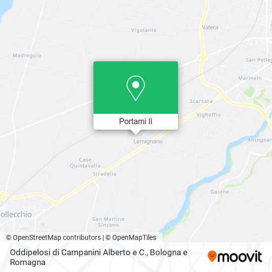 Mappa Oddipelosi di Campanini Alberto e C.