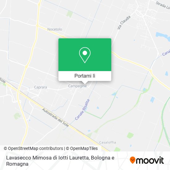 Mappa Lavasecco Mimosa di Iotti Lauretta