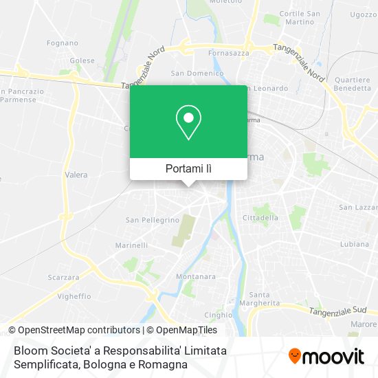Mappa Bloom Societa' a Responsabilita' Limitata Semplificata
