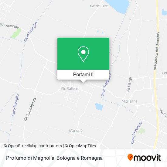Mappa Profumo di Magnolia