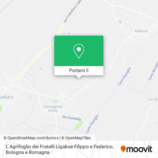 Mappa L' Agrifoglio dei Fratelli Ligabue Filippo e Federico