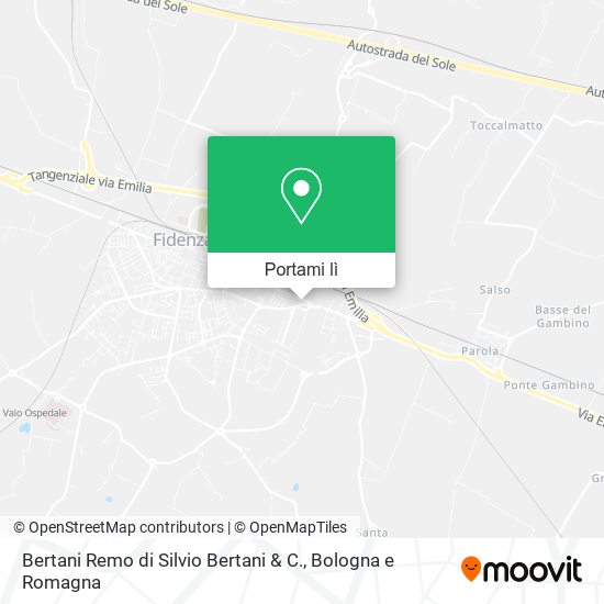 Mappa Bertani Remo di Silvio Bertani & C.
