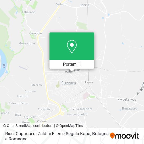 Mappa Ricci Capricci di Zaldini Ellen e Segala Katia