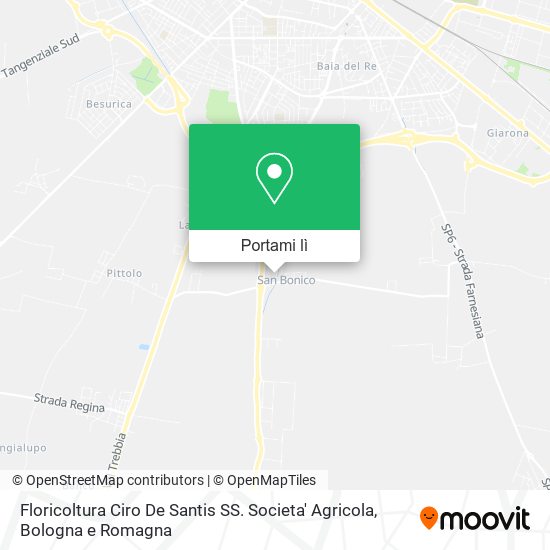 Mappa Floricoltura Ciro De Santis SS. Societa' Agricola