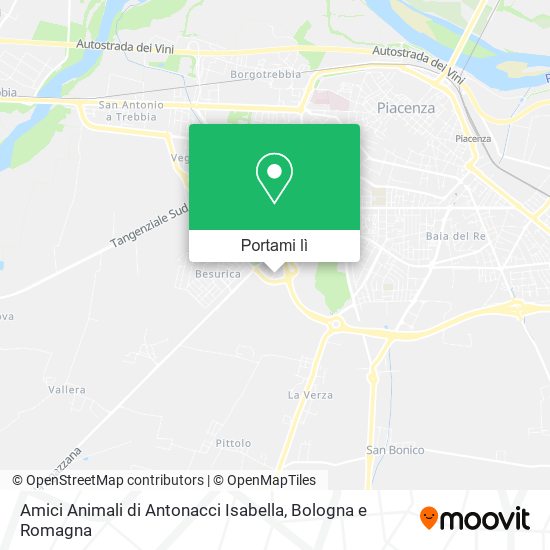 Mappa Amici Animali di Antonacci Isabella