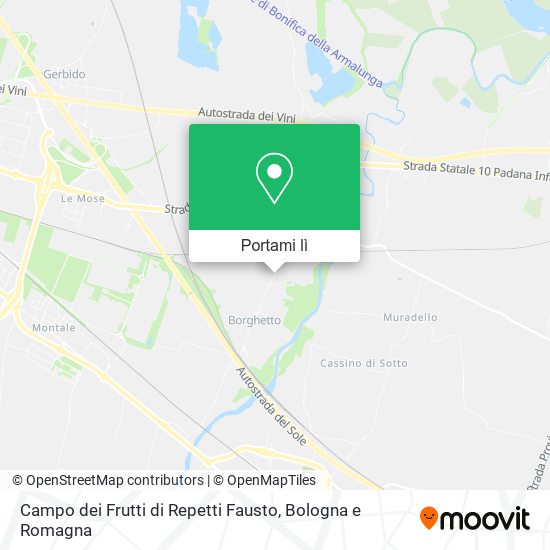 Mappa Campo dei Frutti di Repetti Fausto