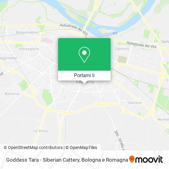 Mappa Goddess Tara - Siberian Cattery