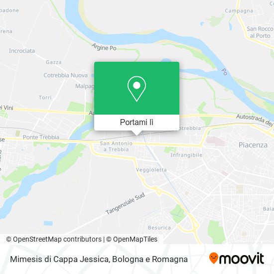 Mappa Mimesis di Cappa Jessica