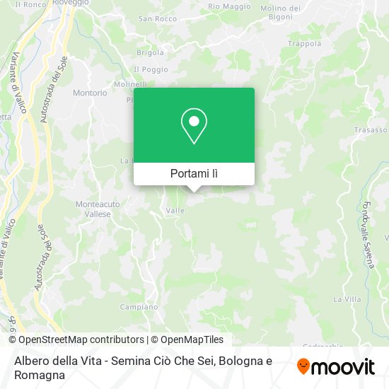 Mappa Albero della Vita - Semina Ciò Che Sei