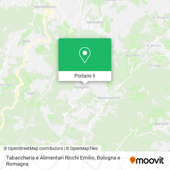Mappa Tabaccheria e Alimentari Ricchi Emilio