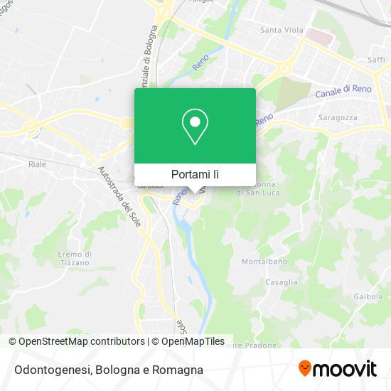 Mappa Odontogenesi