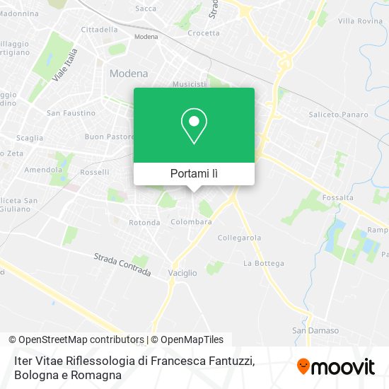 Mappa Iter Vitae Riflessologia di Francesca Fantuzzi