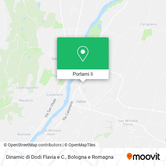 Mappa Dinamic di Dodi Flavia e C.