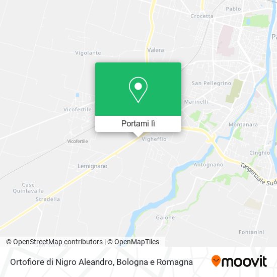 Mappa Ortofiore di Nigro Aleandro