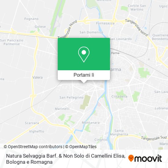 Mappa Natura Selvaggia Barf. & Non Solo di Camellini Elisa