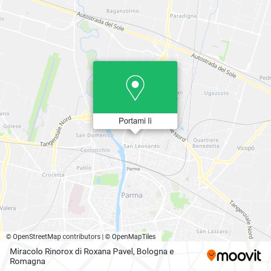 Mappa Miracolo Rinorox di Roxana Pavel