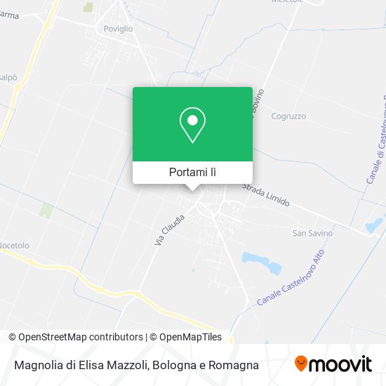 Mappa Magnolia di Elisa Mazzoli