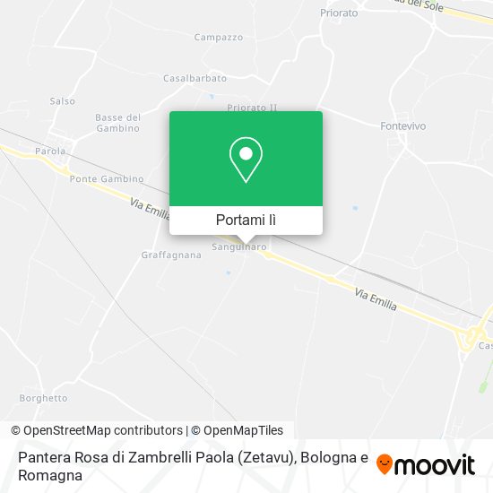 Mappa Pantera Rosa di Zambrelli Paola (Zetavu)