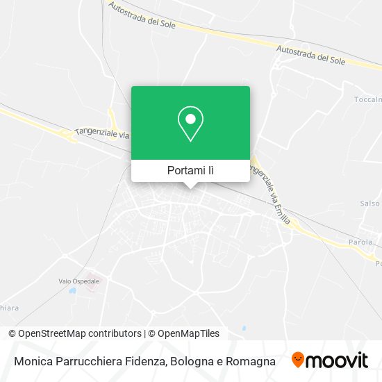 Mappa Monica Parrucchiera Fidenza